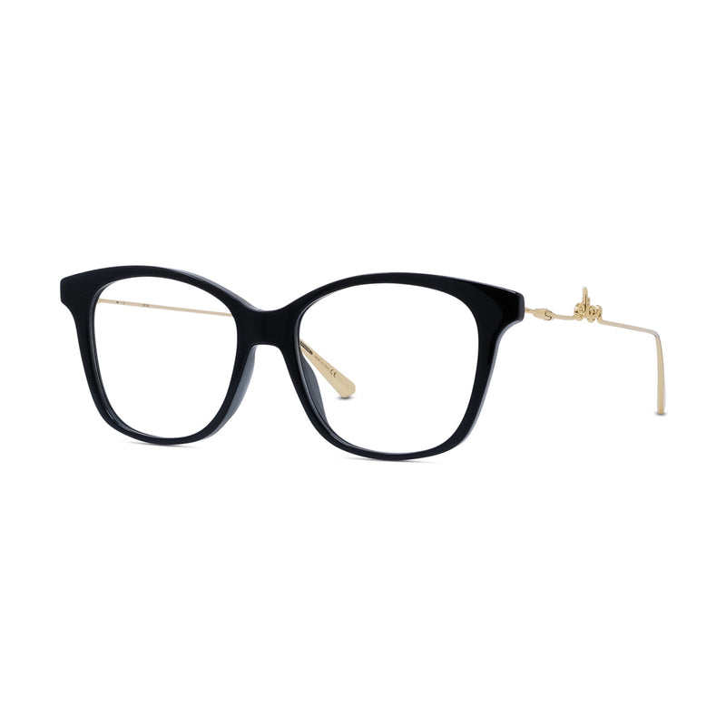 DIORSIGNATUREO BI
